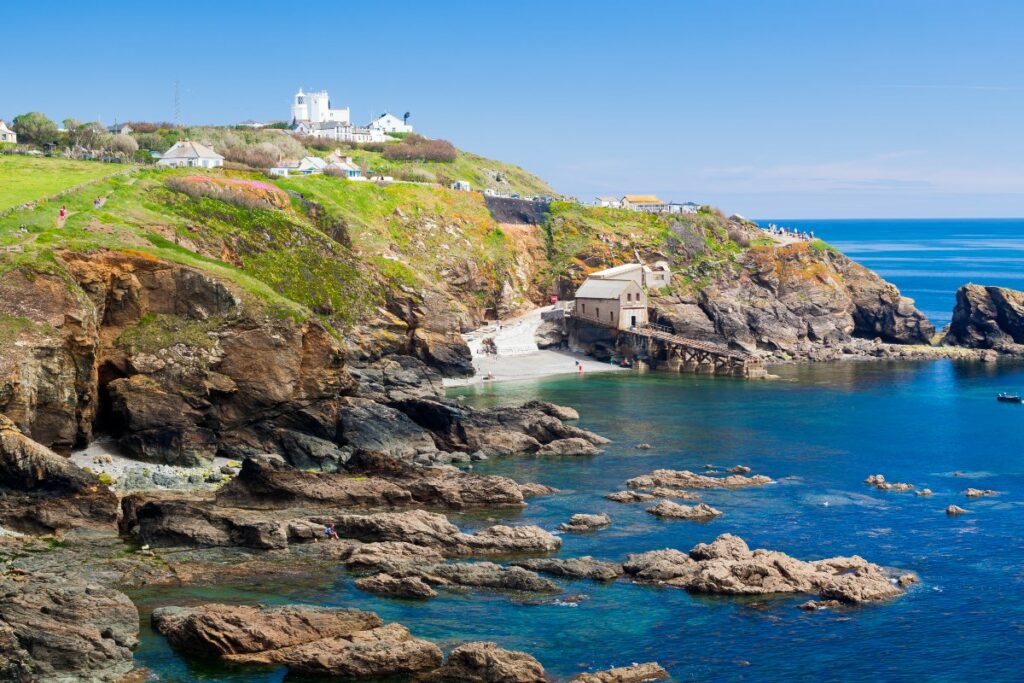 Lizard Point